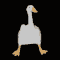 duckvibes