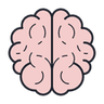 brain