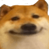 Doge_hah