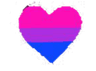 bisexual