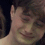 HarryCry
