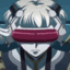 visor