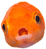 fish_gasp