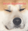 bruhmomento