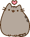 PusheenLove