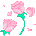 pinkroses