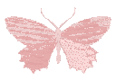 pink_butterfly