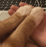 cat_paws