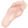 afRutonSole2