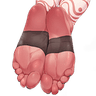 afIbarakiSoles