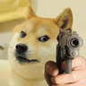 dogegun