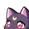 CatPeekFRI