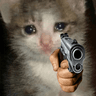 CatGun