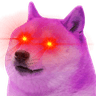 IllusionaireCursedDoge