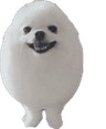 DogsOfDiscord_EggyBoiDogBall