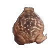 forg