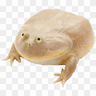 BlEb