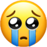 scilycry