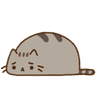 ASadPusheen