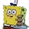 sponge_ok