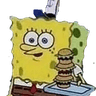 sponge_ok