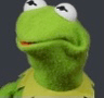 kermit_wut