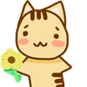 flowercat