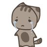 cryingcat