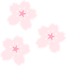 sakura_flowers