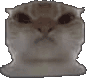 DoItKitten
