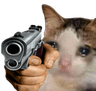 gunpoint
