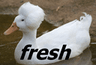 FreshDuck