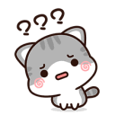 confusedcat
