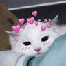 catluv