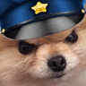 petdogpolice