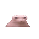 bingus