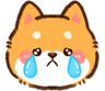 shiba_cry