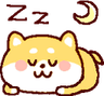 shiba_sleep