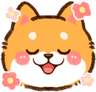 shiba_happy