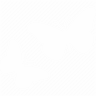 butterfly_cox_white