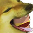 7735639011115663871