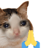 c_dorimeow