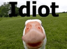 IdiotDuck