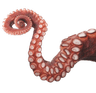 tentacle