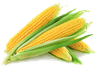 CORN