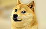 Doge