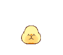 610_ordek3