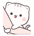 610_kedi6