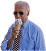 Bidenicecream