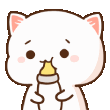 610_kedi_biberon